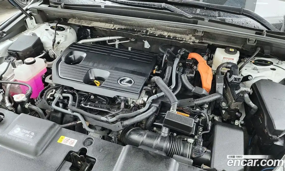 Lexus NX 2025 2.5 Автомат в Москве № 198806, фото 13