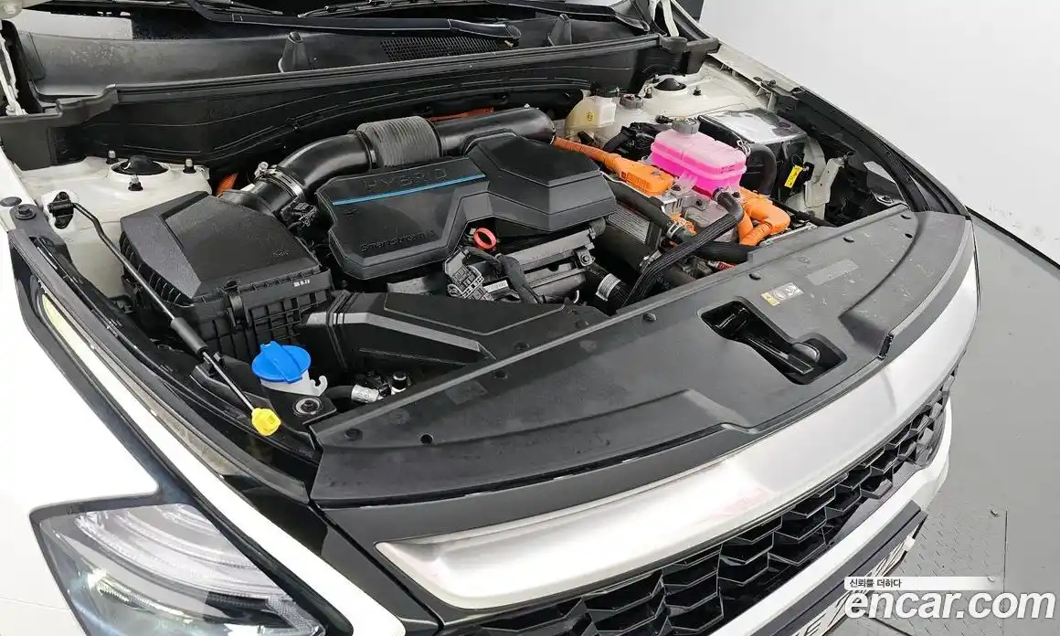 Kia Sportage 2023 1.6 Автомат в Москве № 11502, фото 19