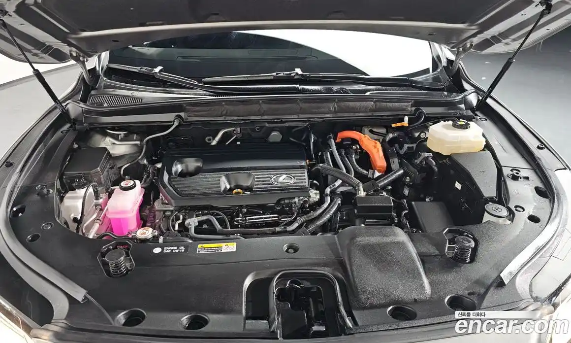 Lexus RX 2025 2.5 Автомат в Москве № 198729, фото 6