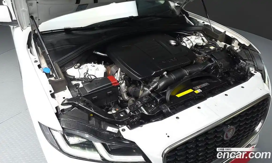 Jaguar F-Pace 2023 2.0 Автомат в Москве № 331359, фото 7