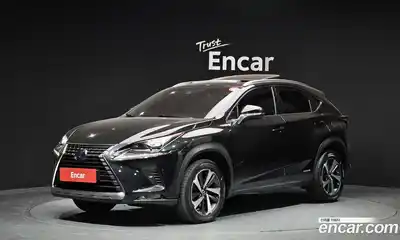 Lexus NX, 2019