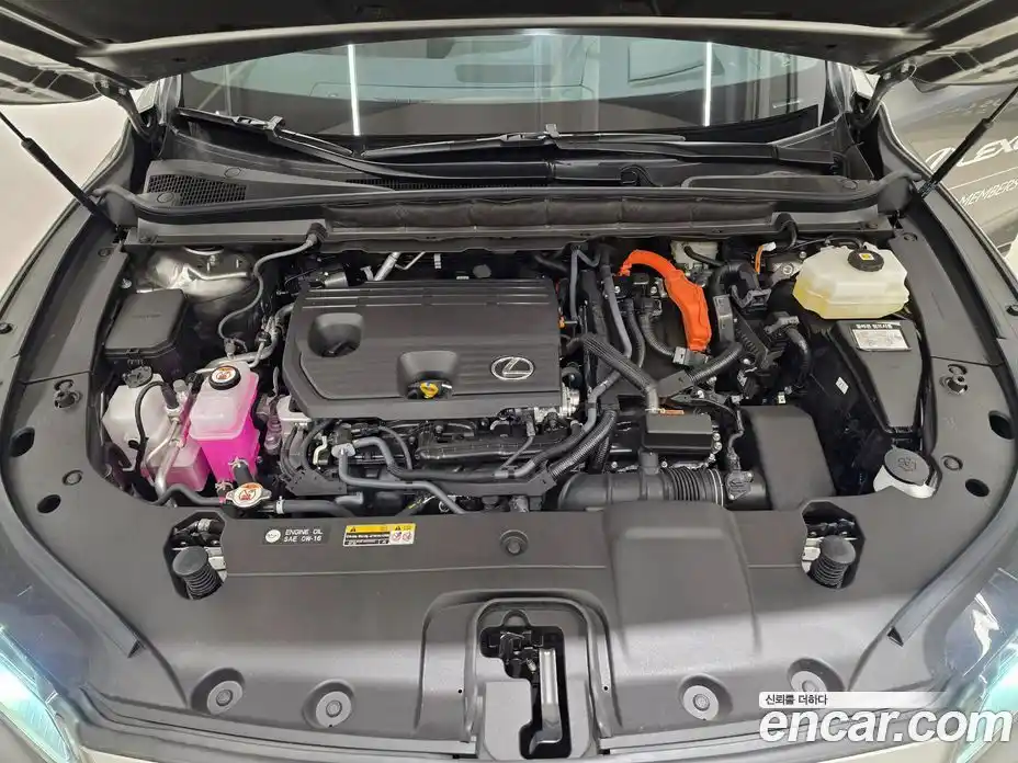 Lexus RX 2025 2.5 Вариатор в Москве № 214751, фото 6