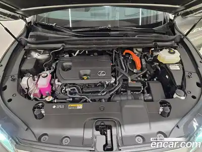 Lexus RX 2025 2.5 Вариатор в Москве № 214751, миниатюра 6