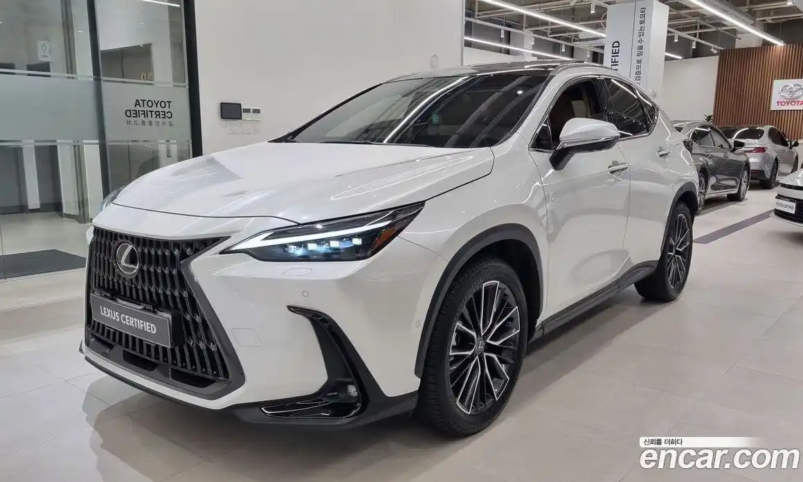 Lexus NX 2025 2.5 Вариатор в Москве № 214762, фото 1