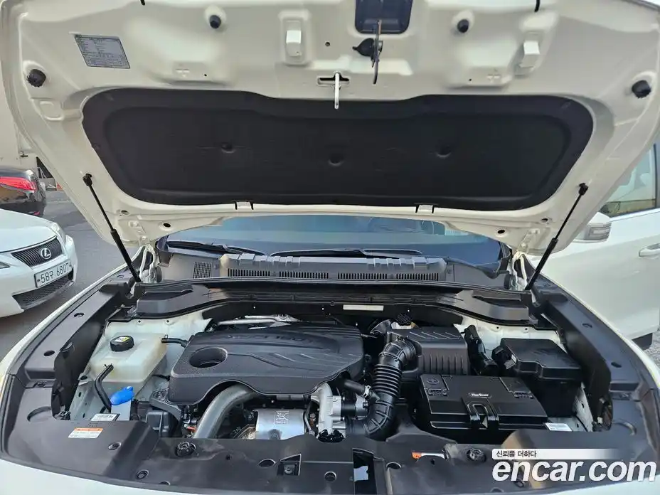 SsangYong Torres 2023 1.5 Автомат в Москве № 32678, фото 8