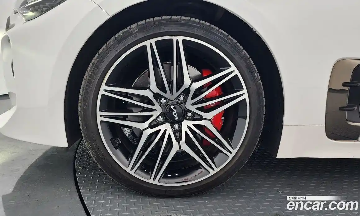 Kia Stinger 2023 2.5 Автомат в Москве № 133716, фото 14