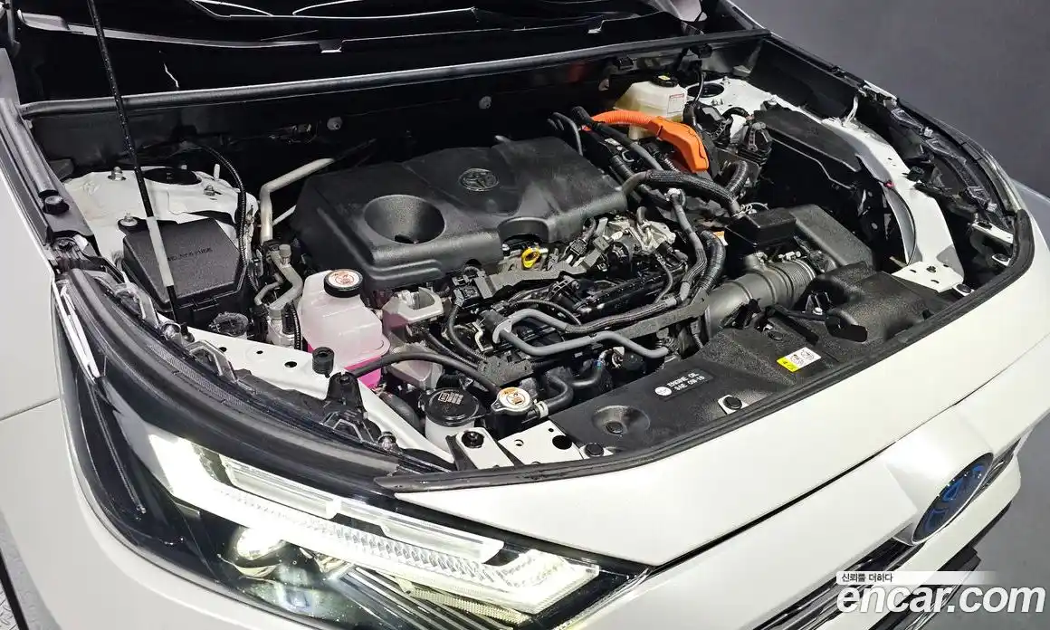 Toyota RAV4 2024 2.5 Автомат в Москве № 199570, фото 5