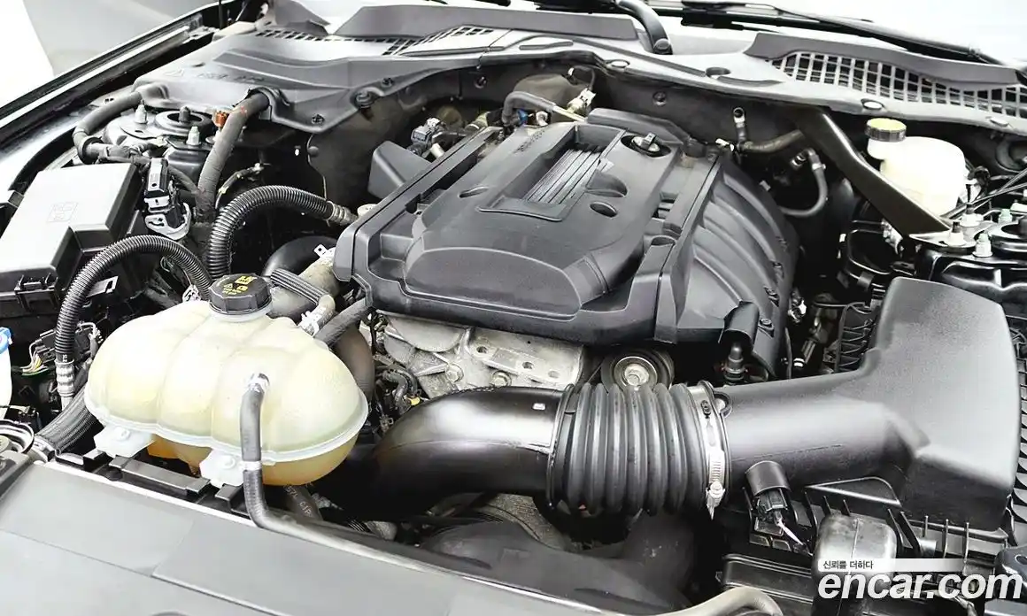 Ford Mustang 2021 2.3 Автомат в Москве № 314061, фото 5