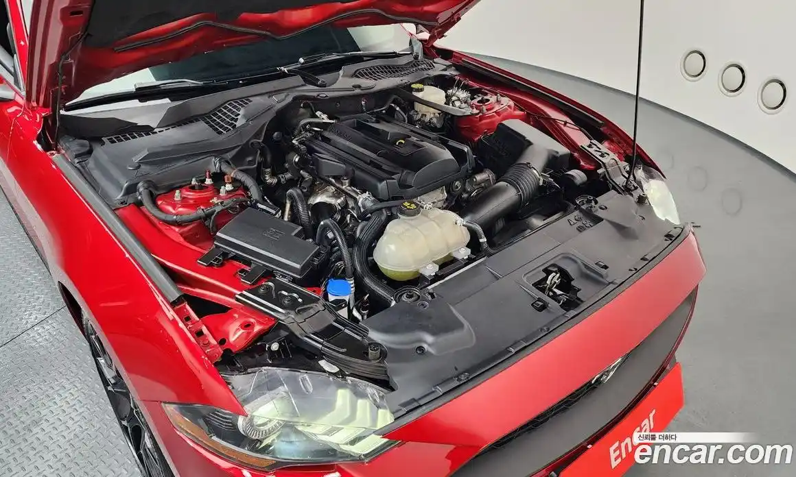 Ford Mustang 2022 2.3 Автомат в Москве № 233218, фото 12