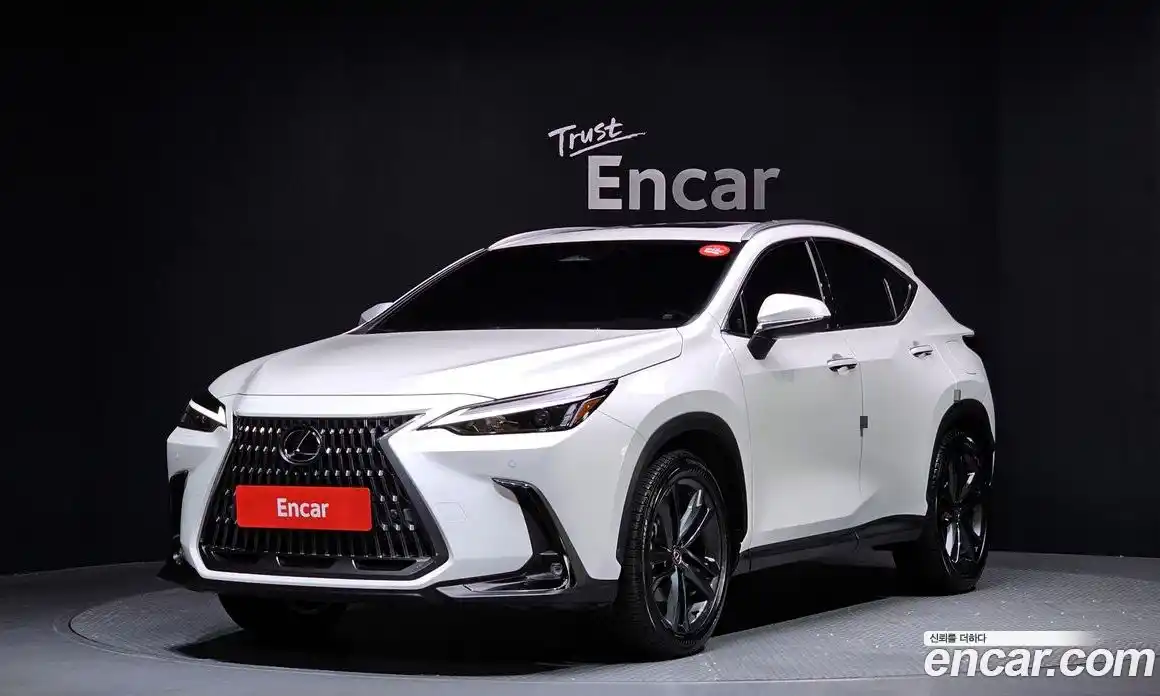 Lexus NX 2025 2.5 Автомат в Москве № 168043, фото 20