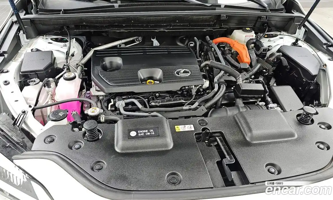 Lexus NX 2025 2.5 Автомат в Москве № 168043, фото 7