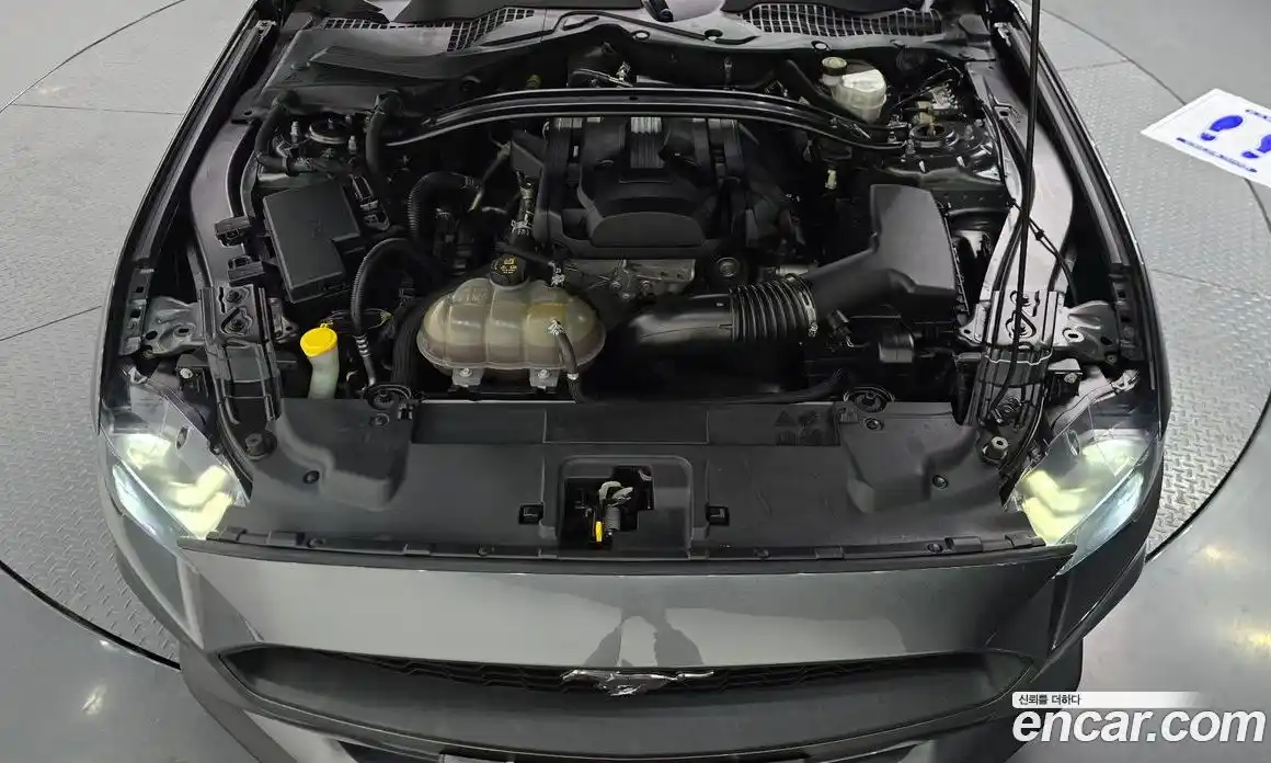 Ford Mustang 2018 2.3 Автомат в Москве № 255588, фото 16