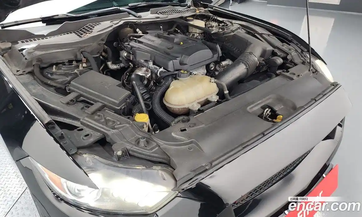 Ford Mustang 2017 2.3 Автомат в Москве № 255622, фото 10