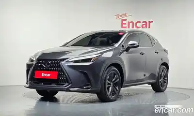 Lexus NX, 2025