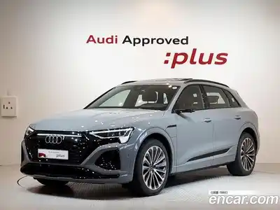 Audi Q8 e-tron, 2024
