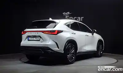 Lexus NX, 2025