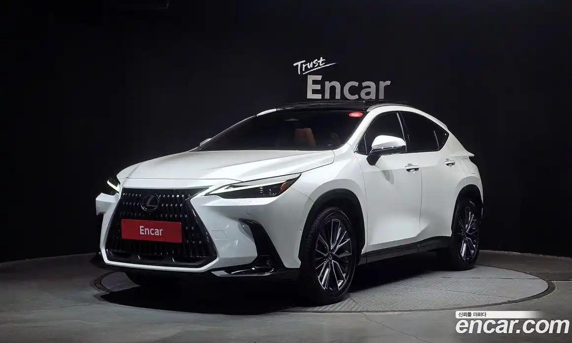 Lexus NX 2025 2.5 Автомат в Москве № 167966, фото 20