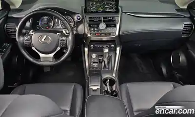Lexus NX, 2019
