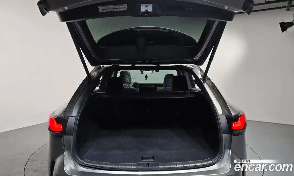 Lexus RX 2024 2.5 Автомат в Москве № 198783, фото 17