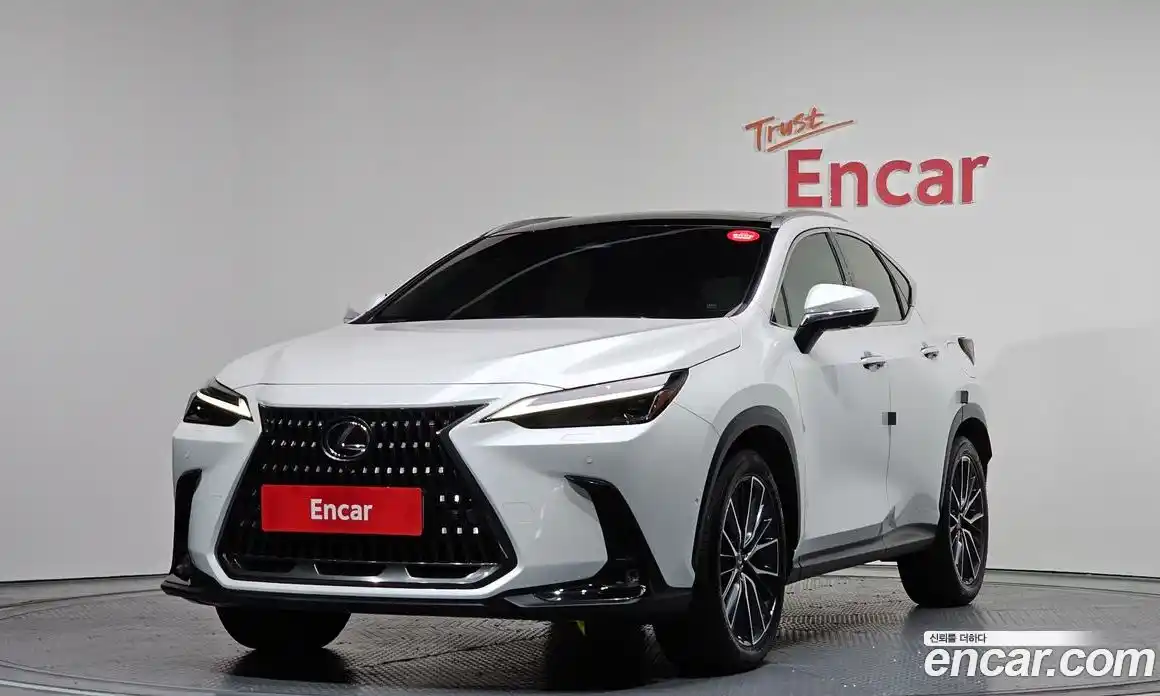 Lexus NX 2024 2.5 Автомат в Москве № 168220, фото 1