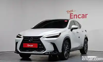 Lexus NX, 2024