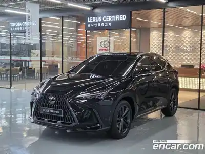 Lexus NX, 2025