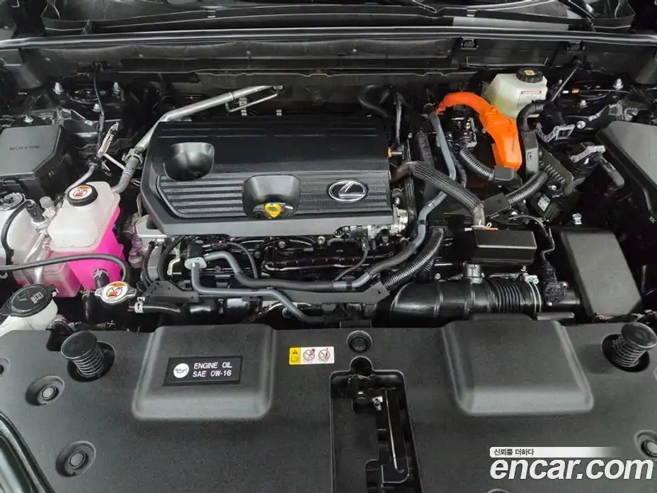 Lexus NX 2025 2.5 Вариатор в Москве № 214752, фото 18