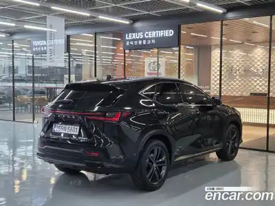 Lexus NX 2025 2.5 Вариатор в Москве № 214752, миниатюра 2