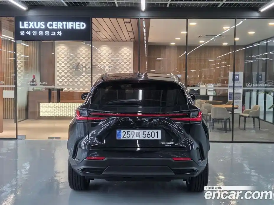 Lexus NX 2025 2.5 Вариатор в Москве № 214752, фото 4