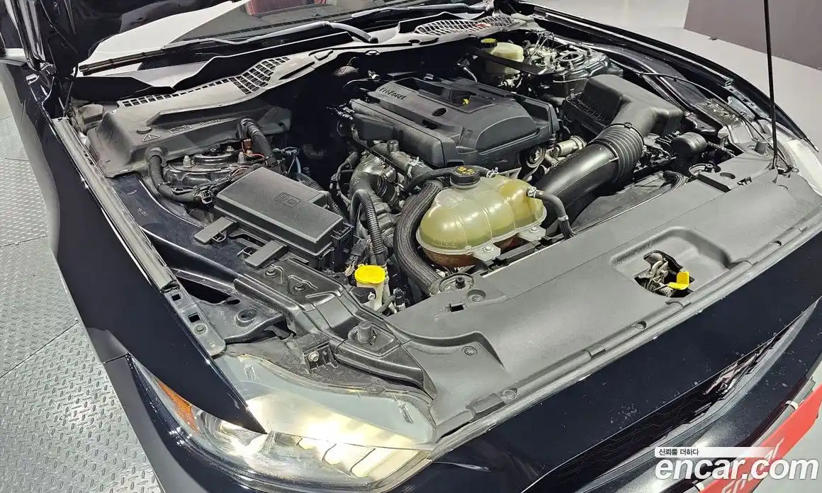 Ford Mustang 2017 2.3 Автомат в Москве № 273439, фото 3