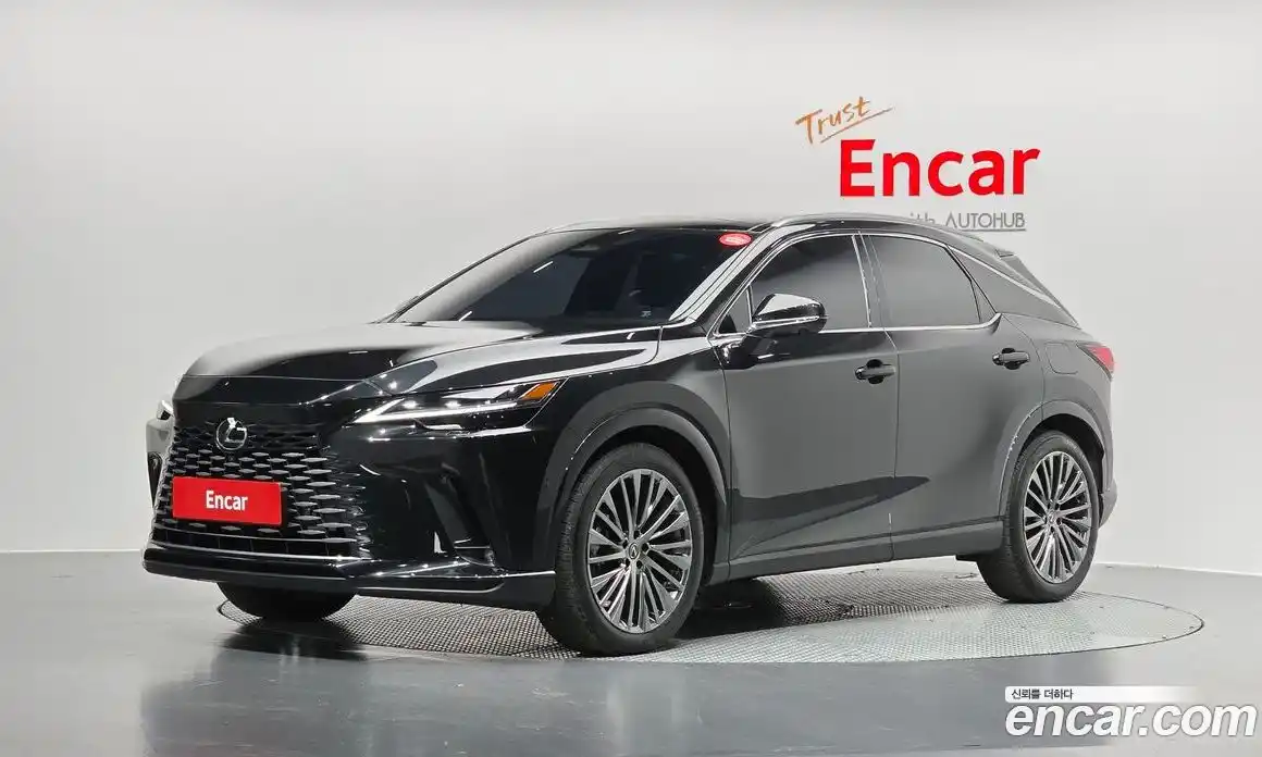 Lexus RX 2024 2.5 Автомат в Москве № 198785, фото 13