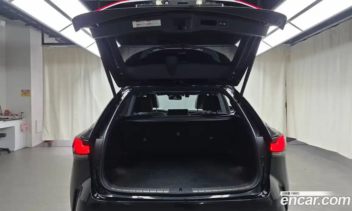 Lexus RX 2024 2.5 Автомат в Москве № 198785, фото 14