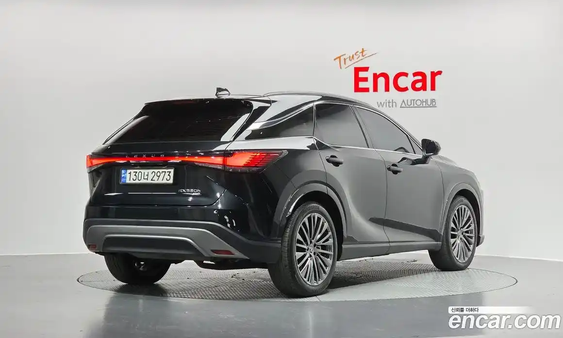 Lexus RX 2024 2.5 Автомат в Москве № 198785, фото 20