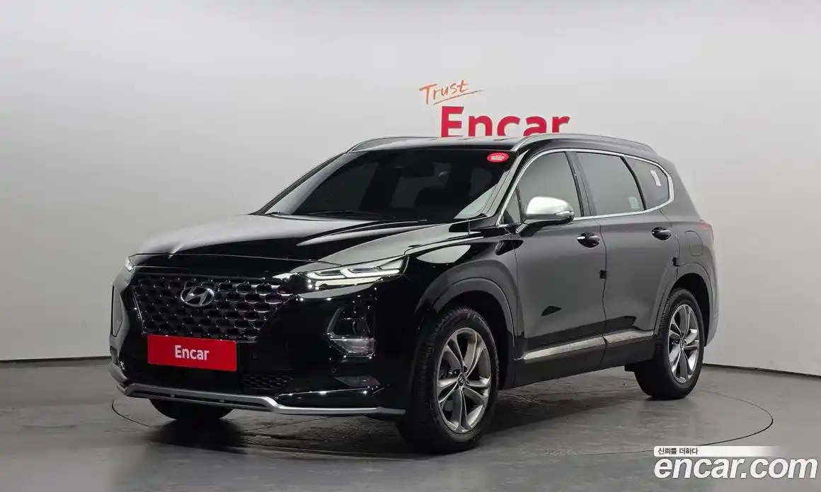 Hyundai Santa Fe 2019 2.0 Автомат в Москве № 110562, фото 13