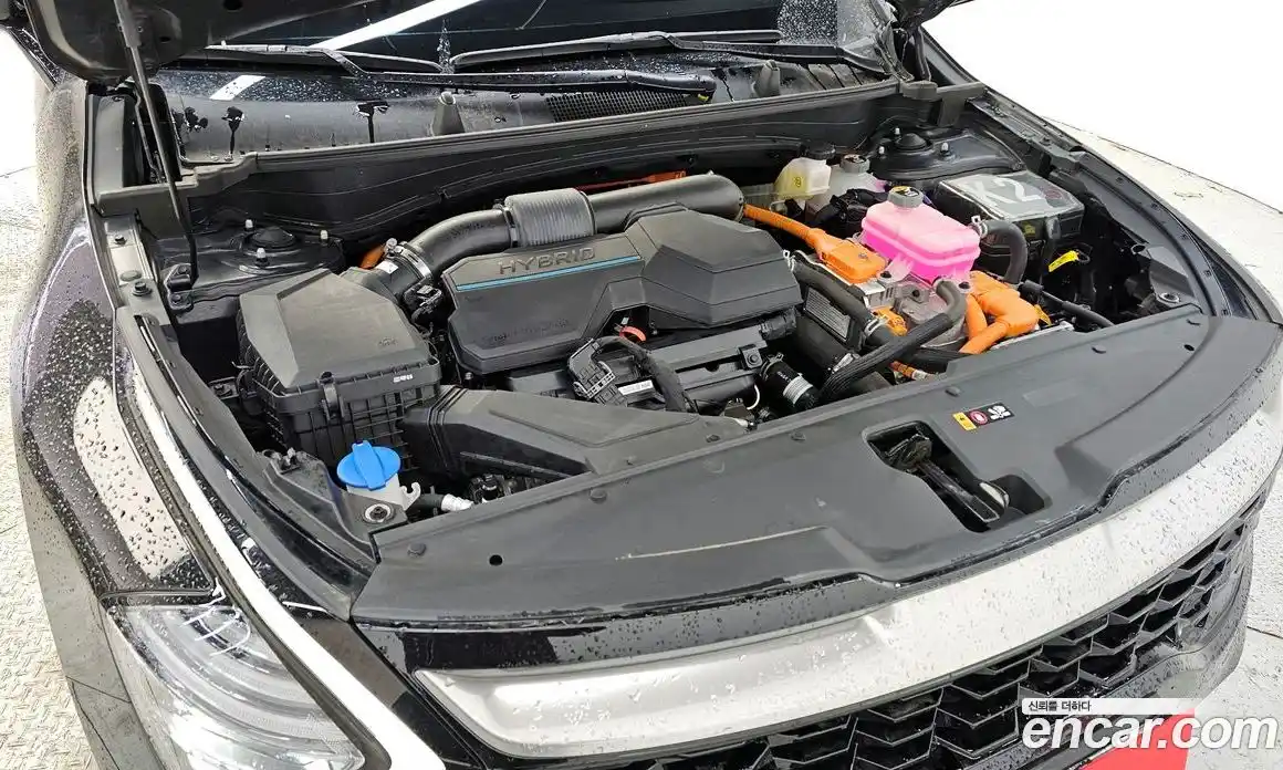 Kia Sportage 2023 1.6 Автомат в Москве № 50297, фото 14