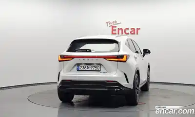 Lexus NX 2025 2.5 Автомат в Москве № 167989, миниатюра 2