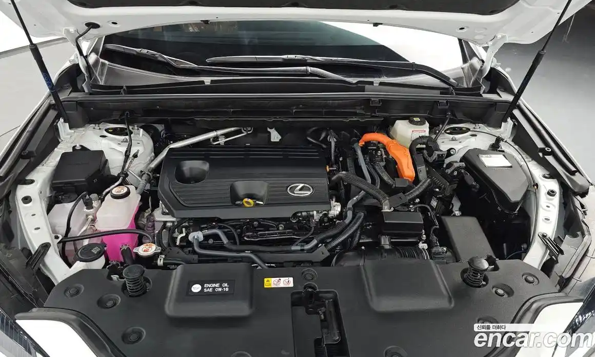 Lexus NX 2025 2.5 Автомат в Москве № 167989, фото 3