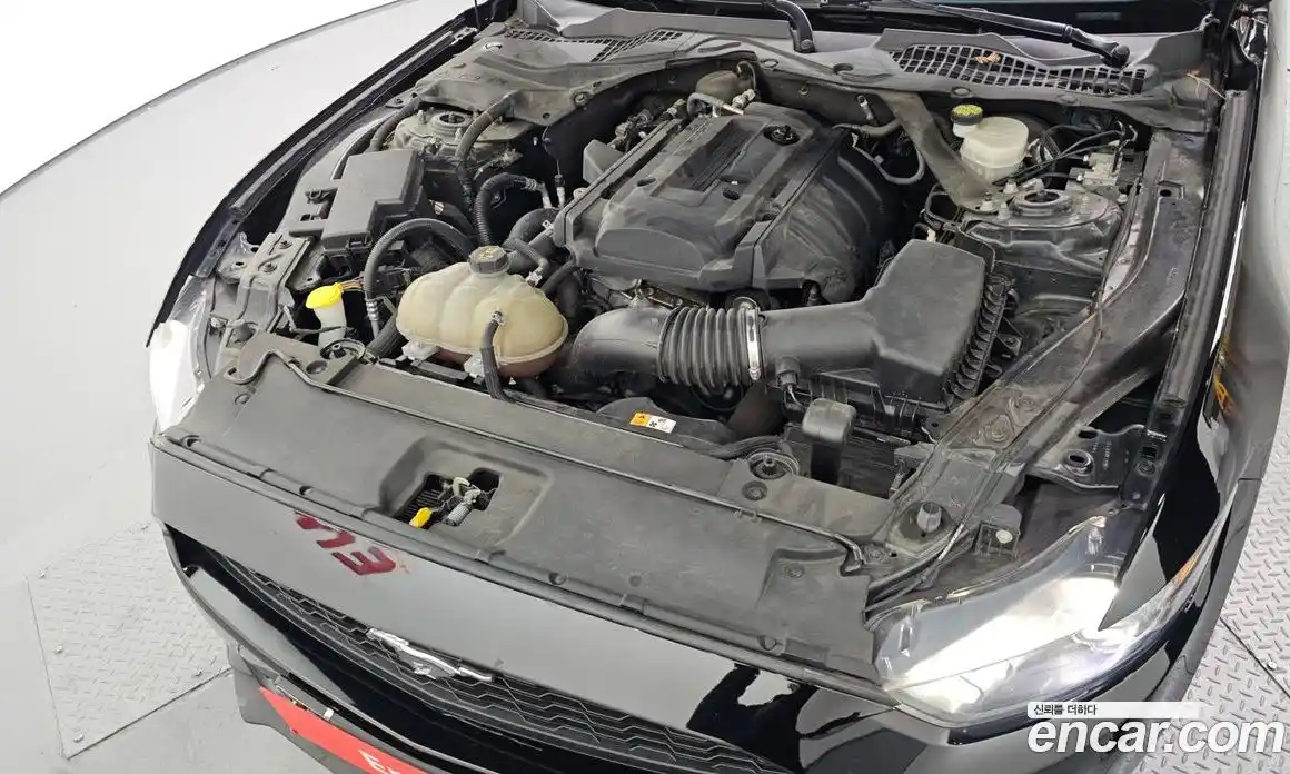 Ford Mustang 2017 2.3 Автомат в Москве № 233243, фото 10