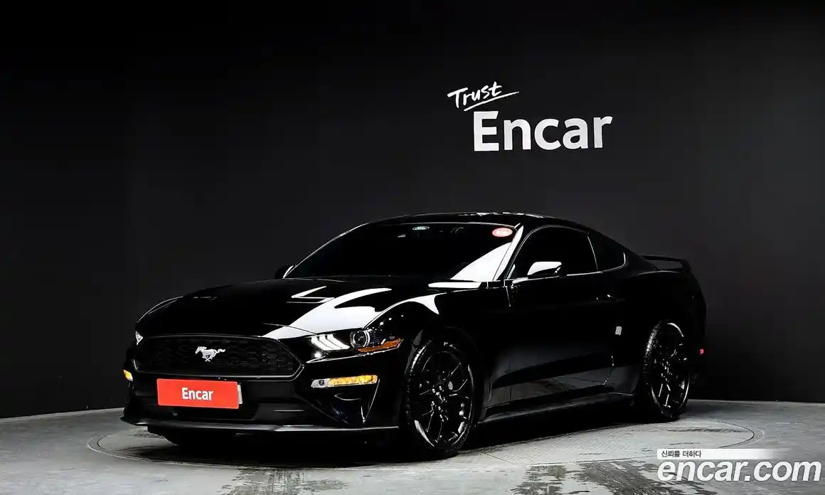 Ford Mustang 2023 2.3 Автомат в Москве № 233169, фото 17