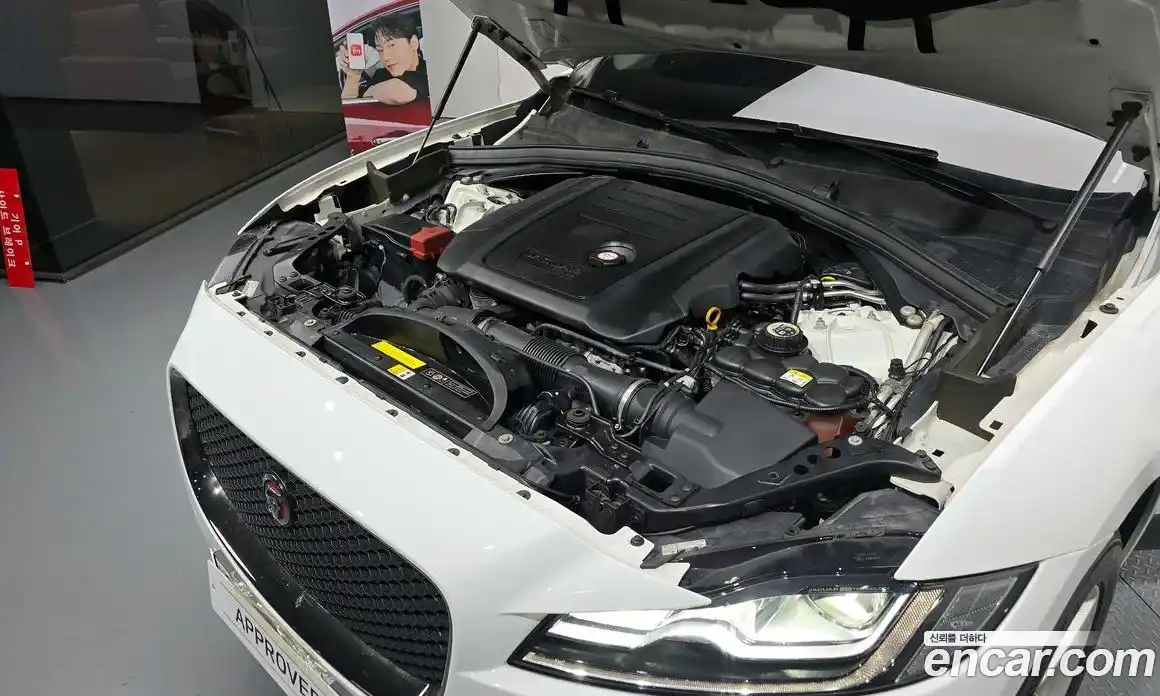 Jaguar F-Pace 2019 2.0 Автомат в Москве № 335794, фото 13