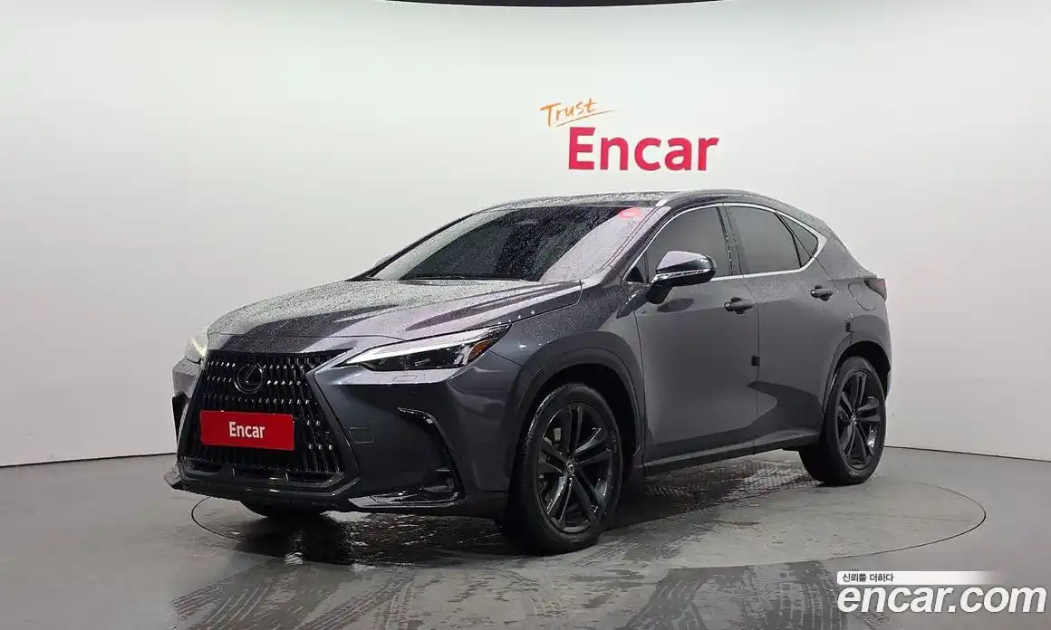 Lexus NX 2024 2.5 Автомат в Москве № 214656, фото 19