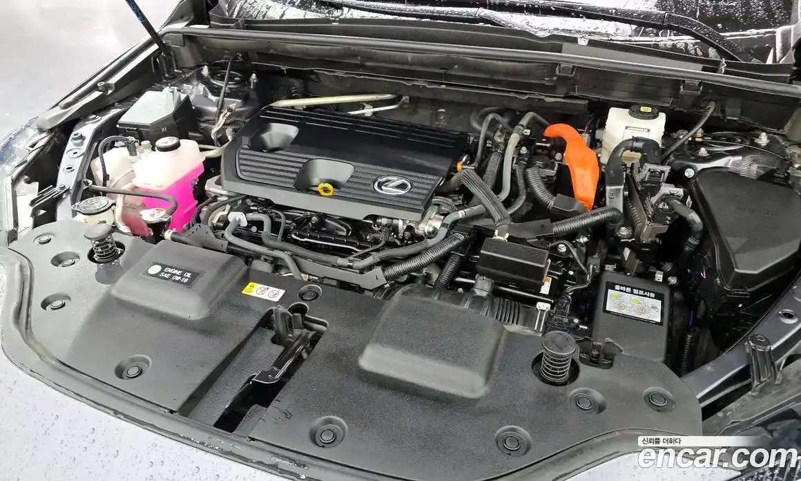 Lexus NX 2024 2.5 Автомат в Москве № 214656, фото 6