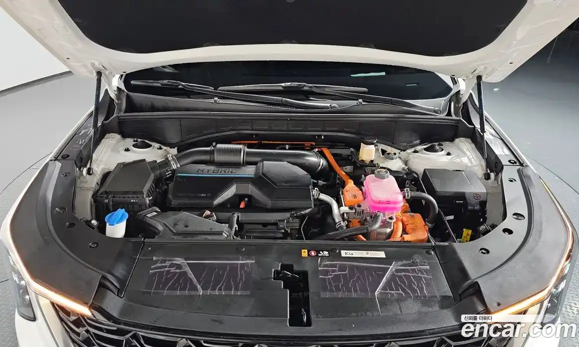 Kia Sorento 2024 1.6 Автомат в Москве № 11213, фото 13