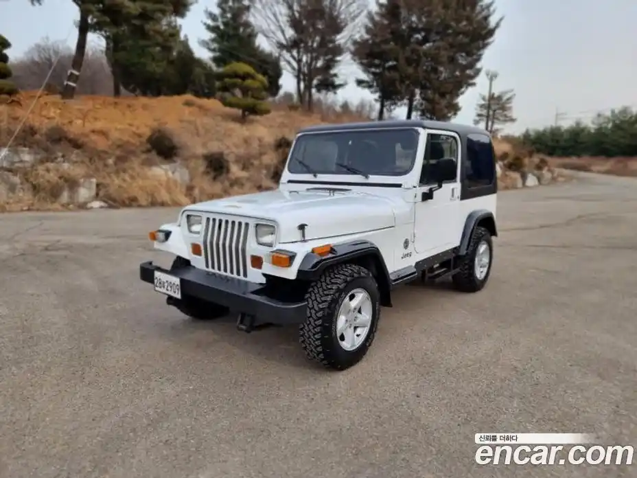 Jeep Wrangler 1993 2.5 Механическая в Москве № 170097, фото 3