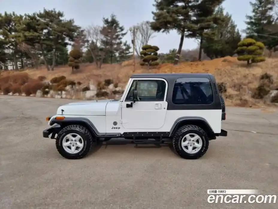 Jeep Wrangler 1993 2.5 Механическая в Москве № 170097, фото 6