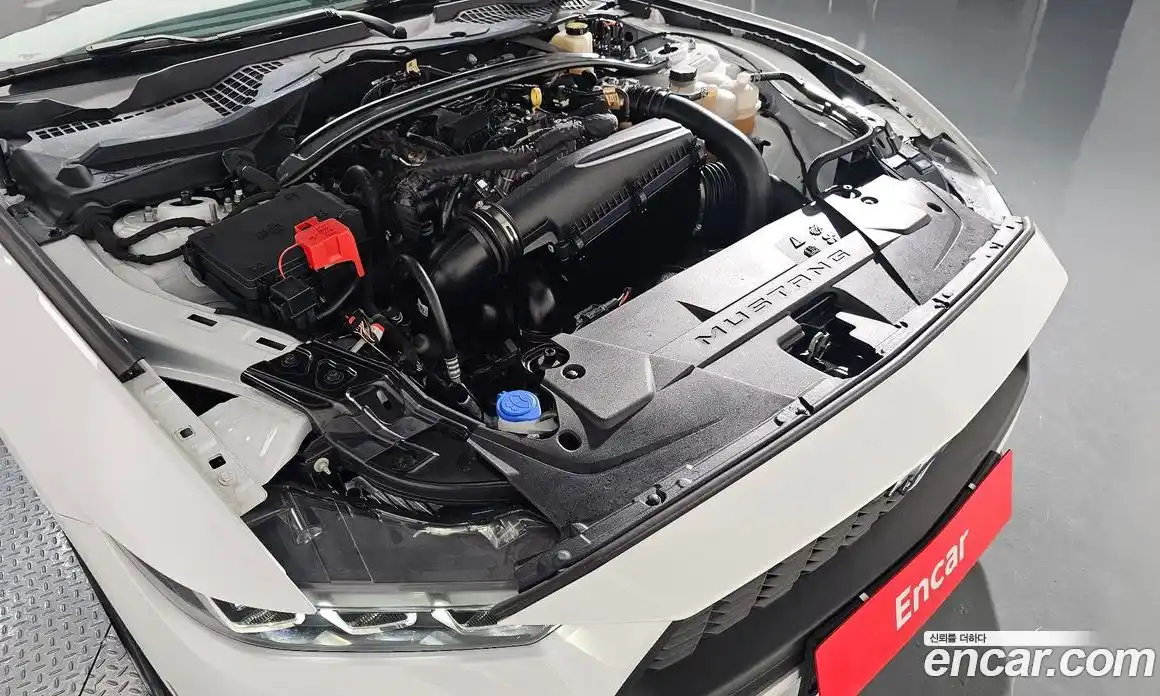 Ford Mustang 2024 2.3 Автомат в Москве № 233094, фото 15