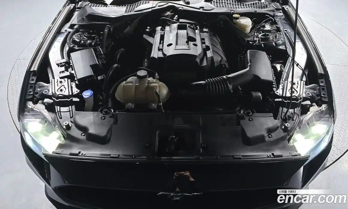 Ford Mustang 2023 2.3 Автомат в Москве № 170740, фото 6