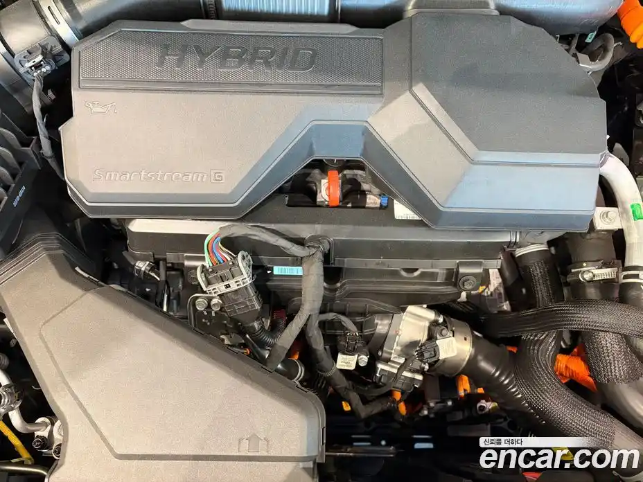 Kia Canival 2025 1.6 Автомат в Москве № 247802, фото 6