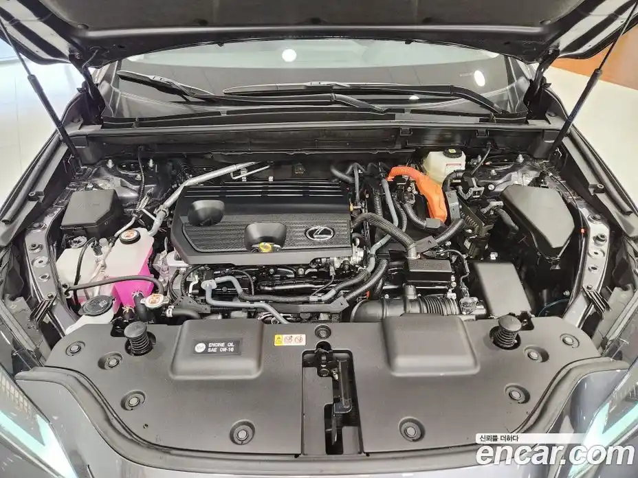 Lexus NX 2025 2.5 Вариатор в Москве № 398708, фото 13