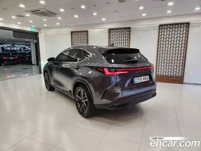 Lexus NX 2025 2.5 Вариатор в Москве № 398708, миниатюра 2